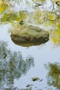 A portrait, Zen view of a tree-reflective pond, with a large boulder in its center, and ripples flowing through the scene.