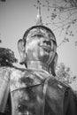 Portrait Zoom View Black and White Front Right Meditation Buddha Statue in Forest
