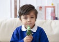 Portraot of Child boy showing his dinosaur easter eggs, Preschool kid creative making homework diy easter egg for his home work, Royalty Free Stock Photo