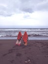 Portreit of women walking on the beach Royalty Free Stock Photo