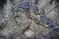 Stone bas-relief of the face of Christ with a crown of thorns and holding the cross. Royalty Free Stock Photo