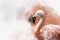 Portret of a Flamingo, watercolor painting. Red flamingo Phoenicopterus ruber, zoological illustration, hand drawing