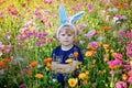 Portriat of adorable, charming toddler girl with Easter bunny ears in flowers meadow. Smiling happy baby child on sunny