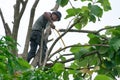 Portrait of arborist holds on the tree with hand saw with clear sky background