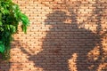 Portriat shadow of backpacker on the bricklayer wall decorated b