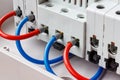 Ports of installed automatic circuit breakers connected by red and blue wires closeup Royalty Free Stock Photo