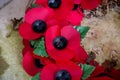 09/29/2020 Portsmouth, Hampshire, UK A close up of a red poppy wreath laid for remembrance day