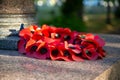 08/09/2020 Portsmouth, Hampshire, UK A red poppy wreath laid on a war memorial in remembrance of war dead