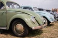 A row of old volkswagen or VW beetle cars Royalty Free Stock Photo