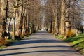 02-28-2021 Portsmouth, Hampshire, UK A straight road through a park in winter with people walking their dogs and people sitting on Royalty Free Stock Photo