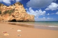 Algarve beach shells