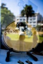 Portugal, August 20, 2018: the Guitar of unusual shape for Fado performance is behind the glass of the showcase. On the glass are