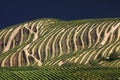 Portugal: Douro river valley