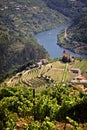 Portugal: Douro river valley