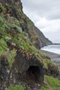 Portugal, Madeira, Coastline near Ribeira da Janela