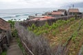 Portugal, Madeira, Coastline near Seixal Royalty Free Stock Photo