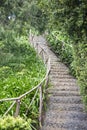 PORTUGAL MADEIRA FUNCHAL EMPERIOR GARDENS Royalty Free Stock Photo