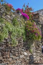 Portugal, Monsaraz . Medieval walls of buildings and fences.