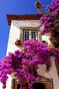 Portugal Obidos; a medieval city