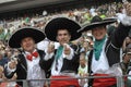 The Portugal supporters Royalty Free Stock Photo