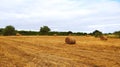 Portugal view field grass cloudy