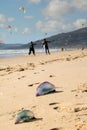 Portuguese Boat, Jellyfish. Royalty Free Stock Photo