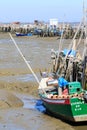 Low tide, Cais PalafÃÂ­tico da Carrasqueira, Comporta, Portugal Royalty Free Stock Photo