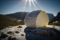 Portuguese cheese Serra da Estrela, a soft cream cheese made from sheep\'s milk, presented on a stone in the sun