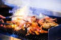 Portuguese Chicken on the Grill Royalty Free Stock Photo