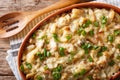 Portuguese cuisine: Bacalhau com natas in a baking dish close-up. horizontal top view Royalty Free Stock Photo