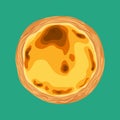 Portuguese custard tart - pastel de nata, top view. Traditional portuguese pastry. Vector hand drawn illustration.