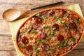 Portuguese duck rice arroz de pato cooked with red wine, onion, carrot and chorizo close up in the baking dish. Horizontal top Royalty Free Stock Photo