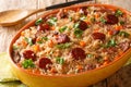 Portuguese duck rice arroz de pato cooked with red wine, onion, carrot and chorizo close up in the baking dish. Horizontal Royalty Free Stock Photo