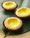 Portuguese Egg Tart Royalty Free Stock Photo