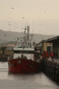 Portuguese fishing boat Royalty Free Stock Photo