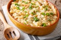 Portuguese food: casserole with cod, potatoes, onions and cream Royalty Free Stock Photo