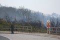 Portuguese forest burning