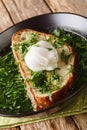 Portuguese Garlic and Cilantro Bread Soup Acorda served with poached egg close-up in a plate. Vertical Royalty Free Stock Photo