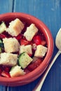 Portuguese gaspacho in bowl Royalty Free Stock Photo