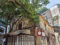 Portuguese Macau Nature Outdoor Narrow Street Alley Macao Starfruit Tree Green Lifestyle Old House Yellow Fruit Trees Blossom Royalty Free Stock Photo