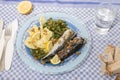 Portuguese mackerel fish meal Royalty Free Stock Photo