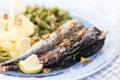 Portuguese mackerel fish meal Royalty Free Stock Photo