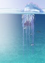 Portuguese man o war Royalty Free Stock Photo