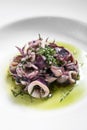 Portuguese traditional fresh seafood marinated squid salad in coriander oil Royalty Free Stock Photo