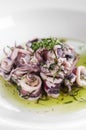 Portuguese traditional fresh seafood marinated squid salad in coriander oil Royalty Free Stock Photo