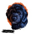 Portuguese Water dog portrait isolated on white. Digital art illustration of hand drawn dog for web, t-shirt print and puppy food Royalty Free Stock Photo