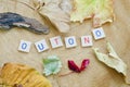 The Portuguese word OUTONO in letters Royalty Free Stock Photo