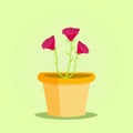 Portulaca flower in the pot vector illustration