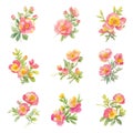 Portulaca.Set of watercolor flowers on white background. Hand-drawn illustration.