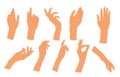 Poses of female hands set. Gesturing. People`s hands in different positions. Human palms and wrist. Vector illustration